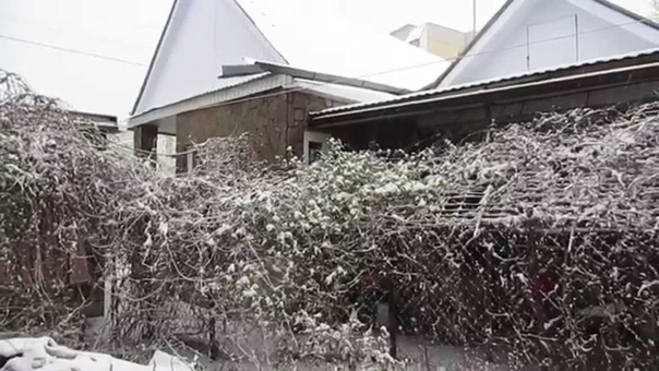 У нас во дворе