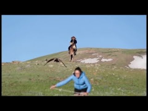 люди,судьбы,история, МЭМы,юмор