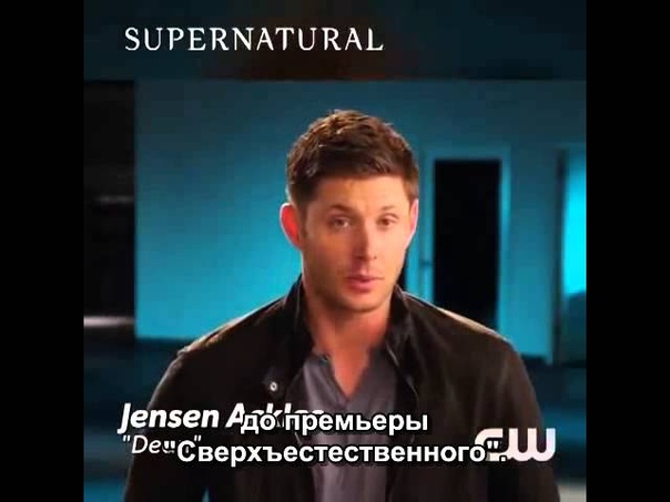 Переводы Team Free Gag Reel