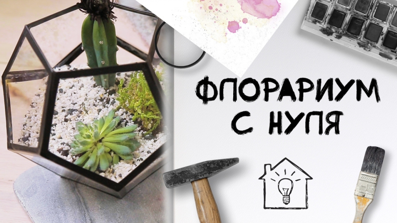 красота