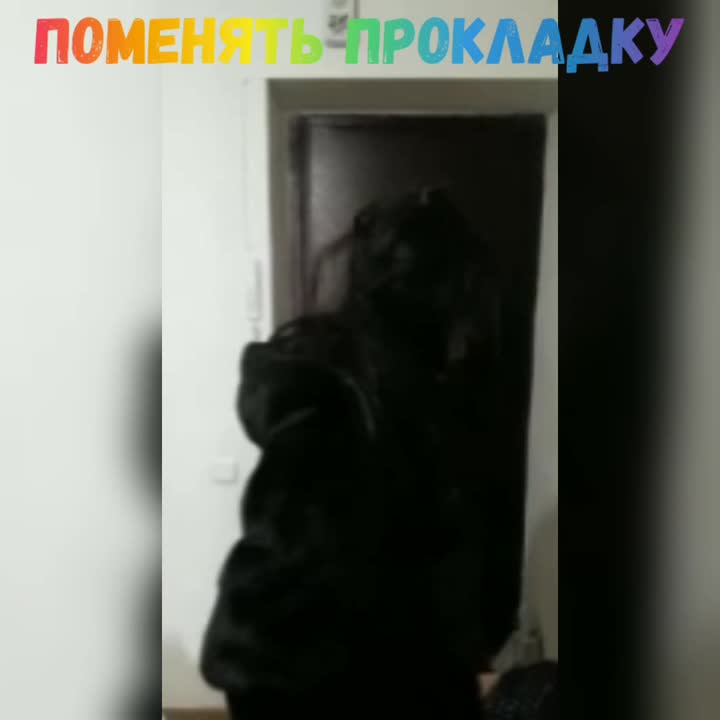 ЮМОР.