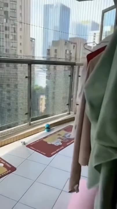 Всячина