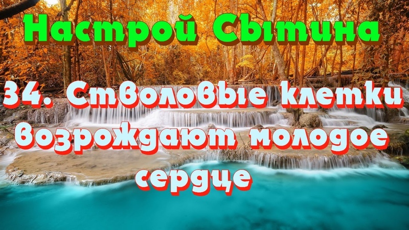 « Мысли, исцеляющие сердце и всю систему кровообращения»