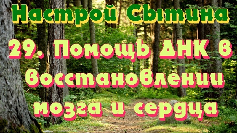 Мужские настрои Сытина