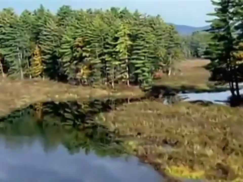 Караоке
