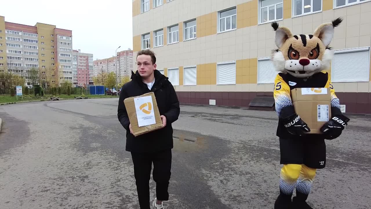 Уроки хоккея