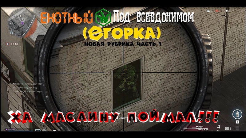 Енотный Call of Duty Modern Warfare Warzone