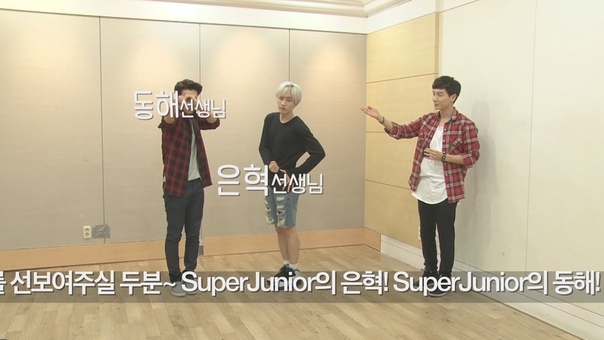 SUPER JUNIOR (슈퍼주니어)