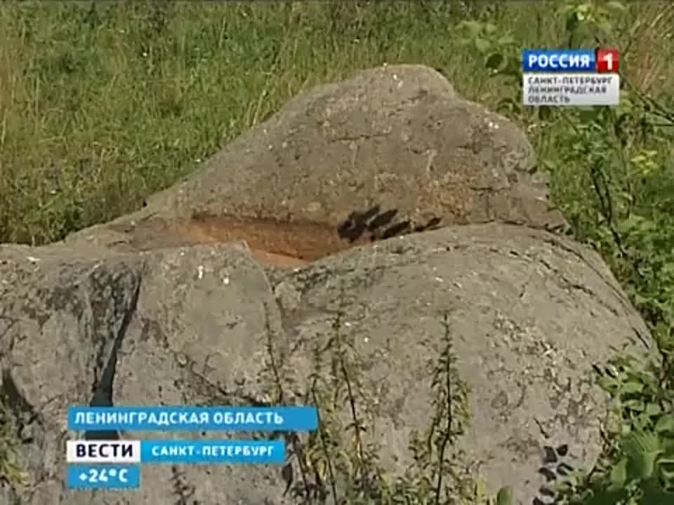 РАЗНОЕ