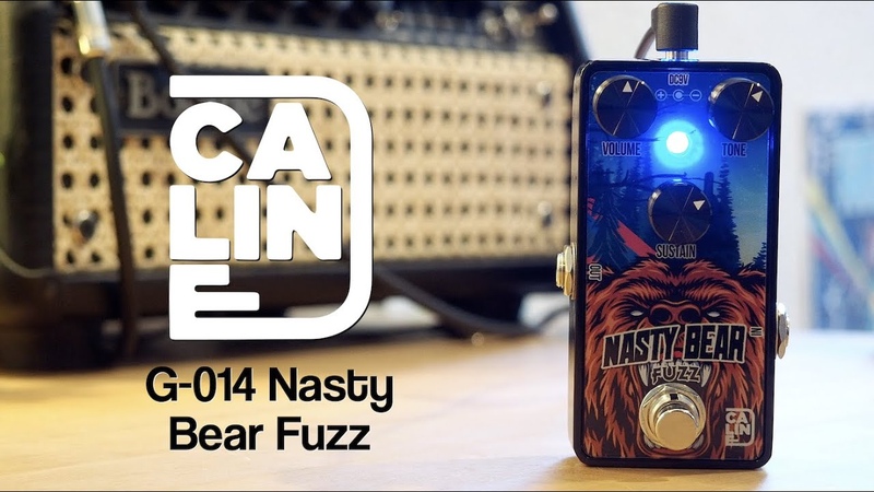 Caline Fuzz