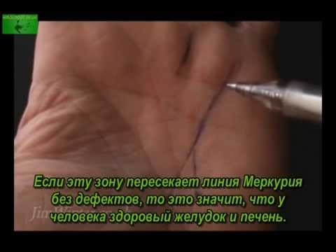 Хиромантия от Джима Уинтера