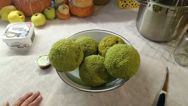 Здоровье