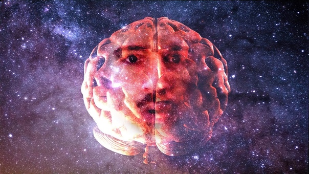 THe Witness