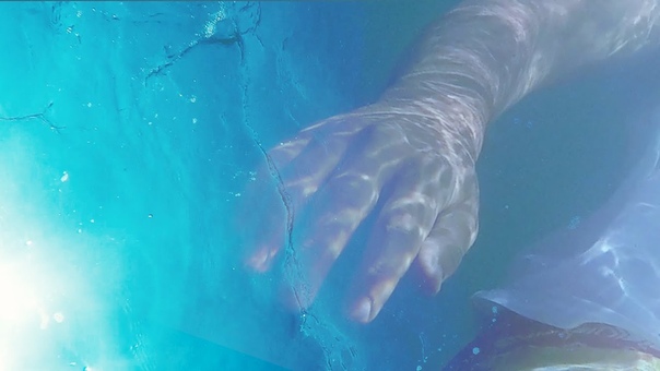 Stranded Deep
