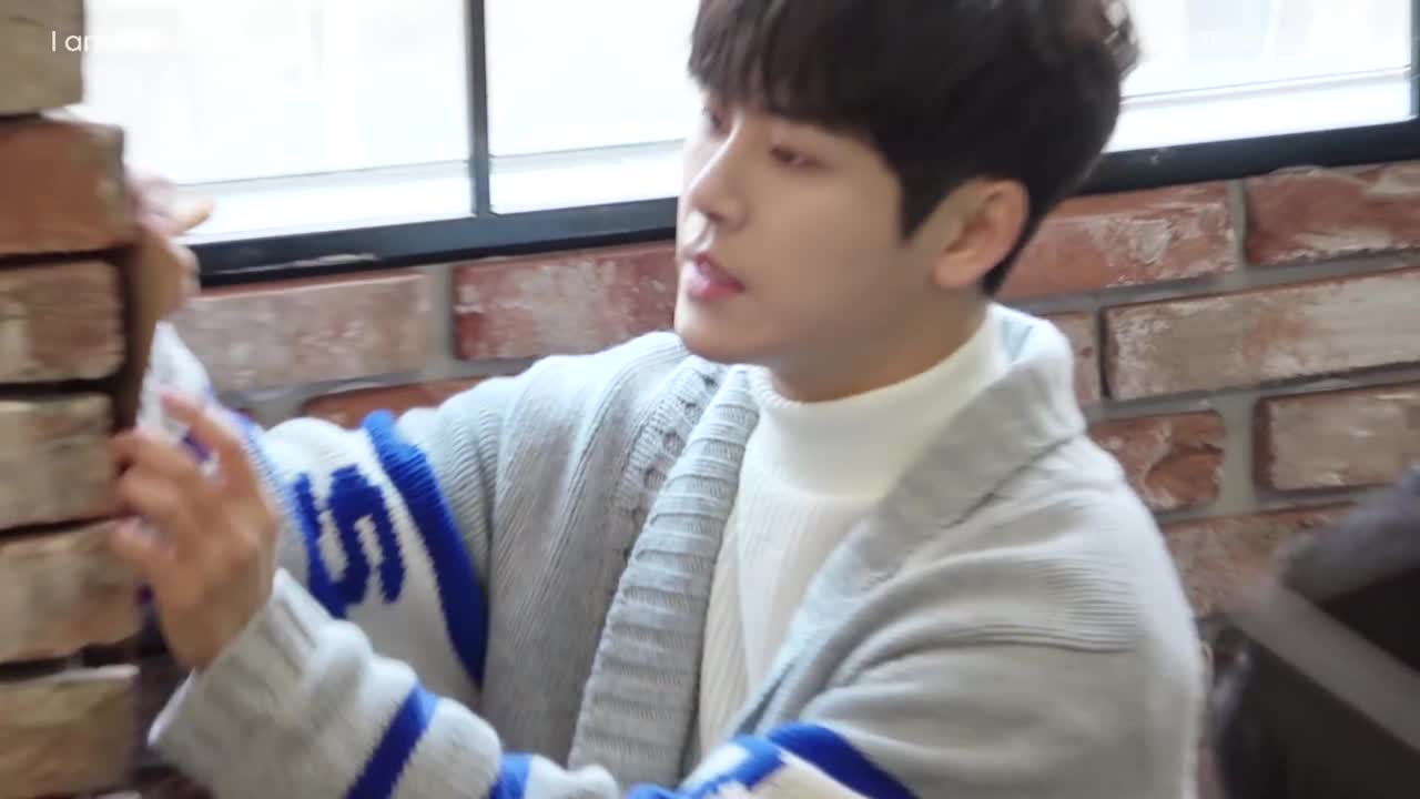 |  I AM HOYA  |
