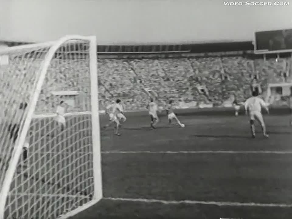 архив - (1981)