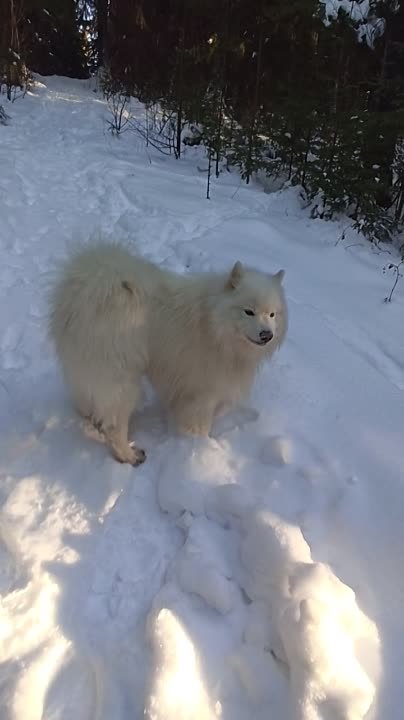 мое видео