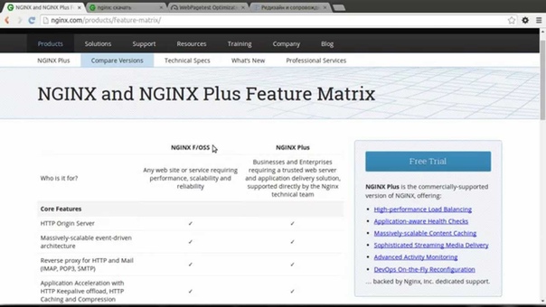 nginx