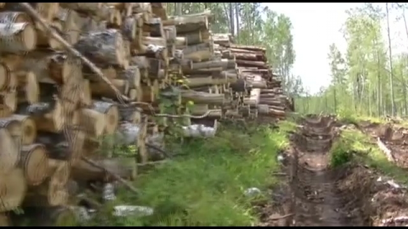 История Бурятии