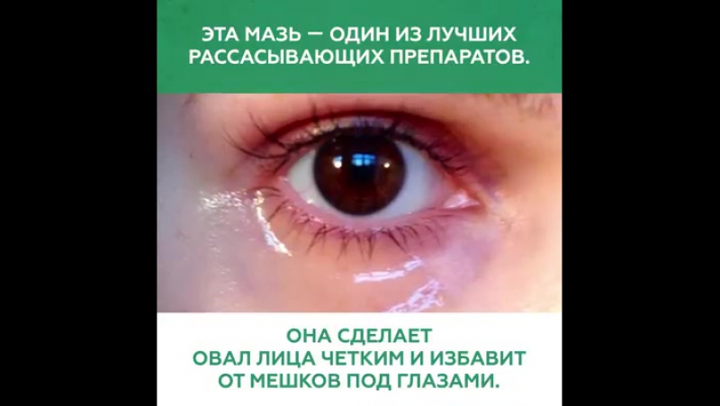 ТВ-Передачи:"Среда обитания"и др.