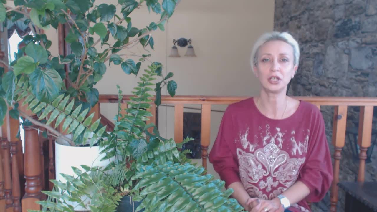 Отзывы о раскрутке каналов на YouTube