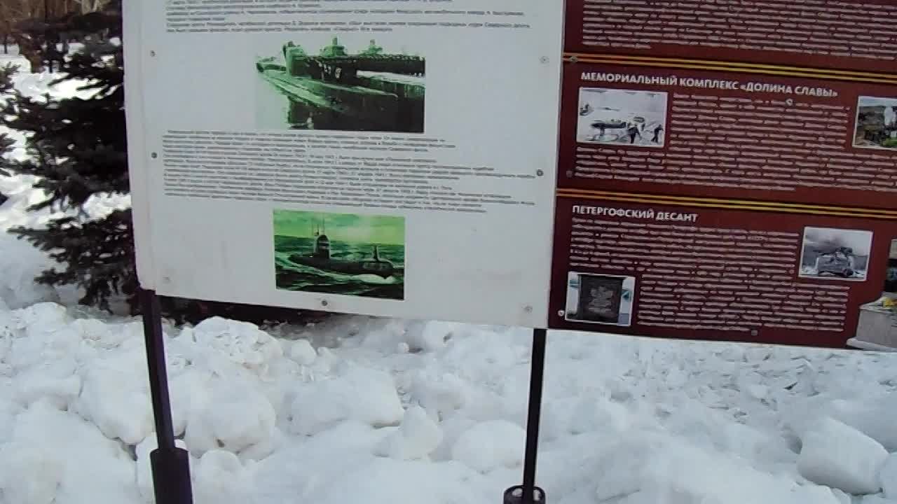 БОЕВЫЕ СЛУЖБЫ  Дальний поход