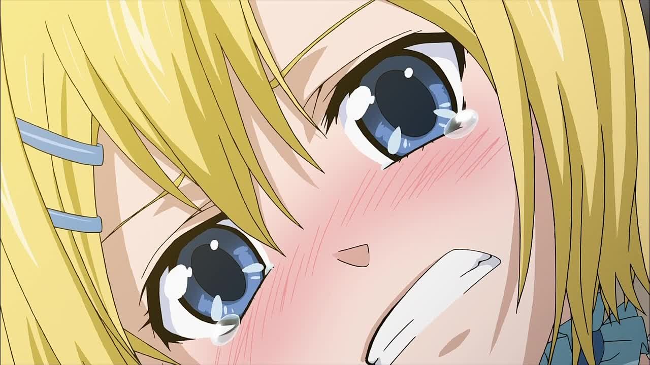 Cuticle Detective Inaba / Частный Детектив Инаба [ТВ-1] 2013