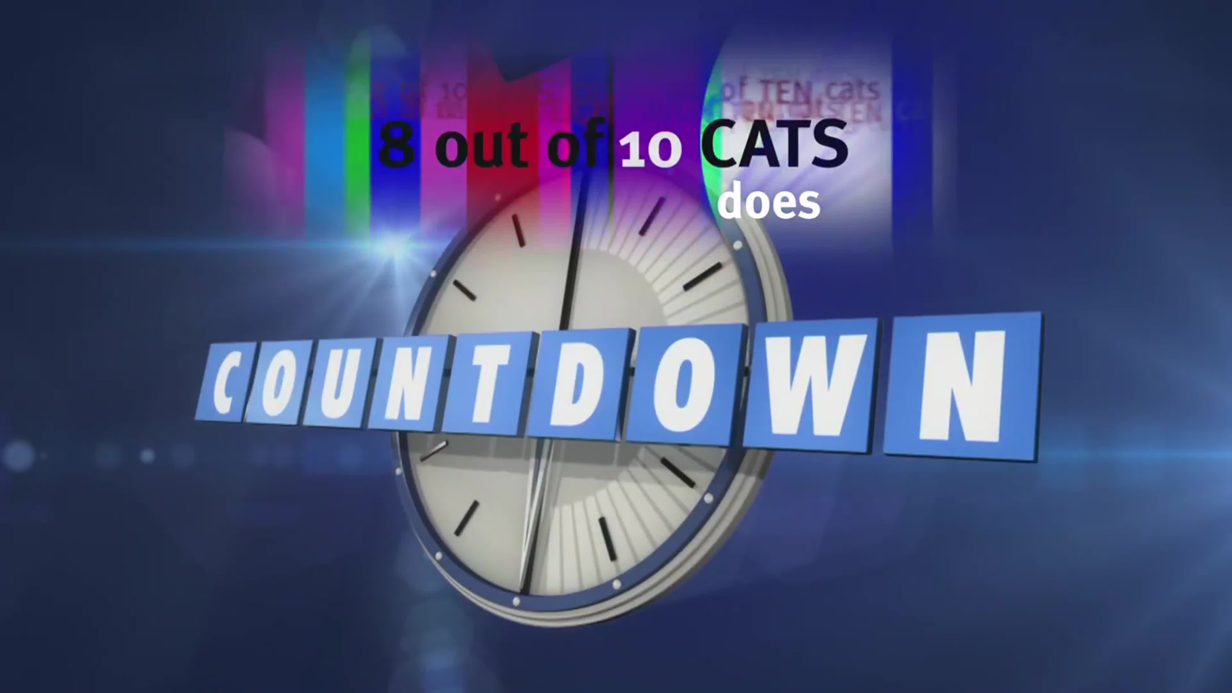 8 Out of 10 Cats Does Countdown (UK)