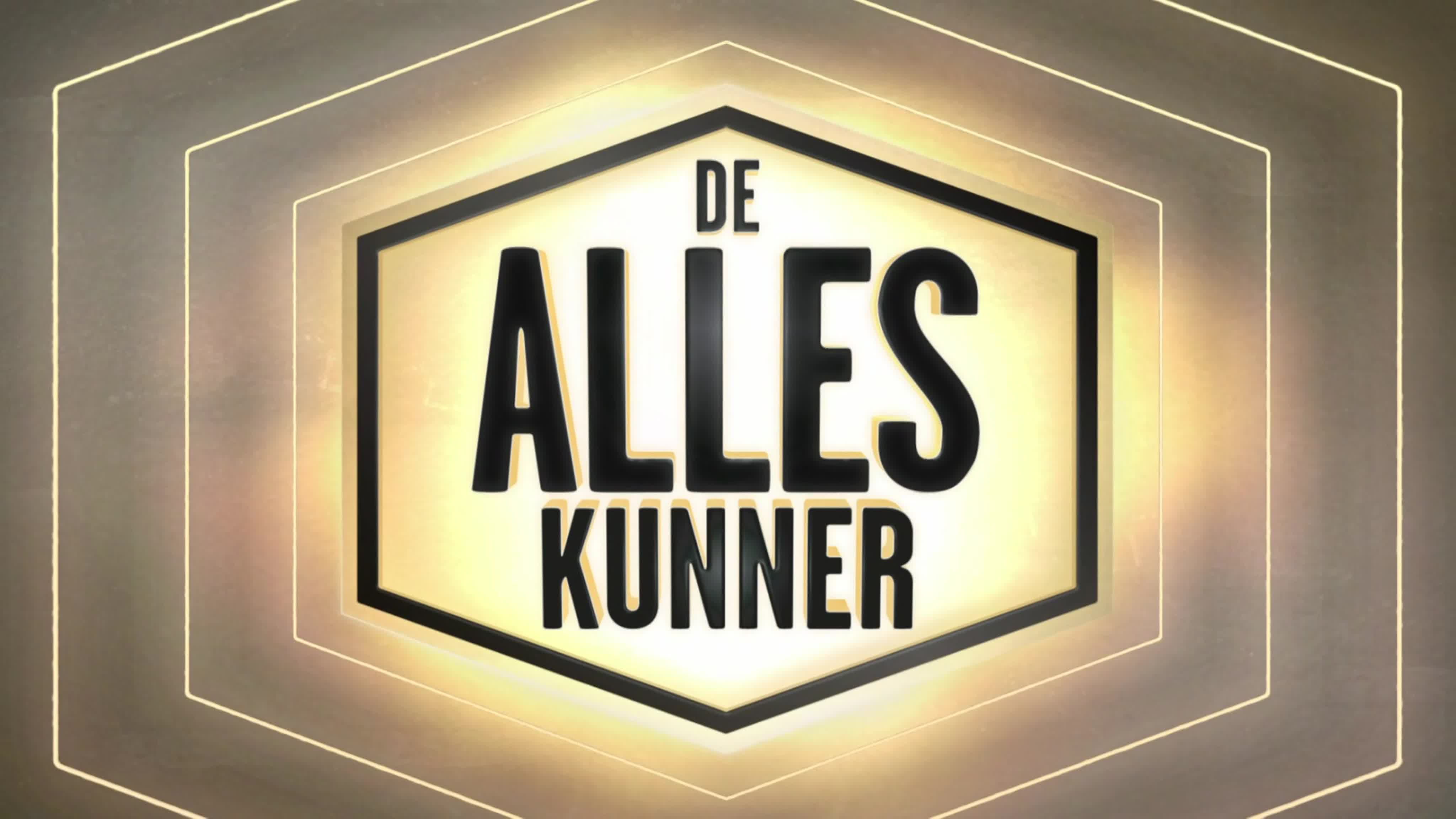 De Alleskunner (NL)