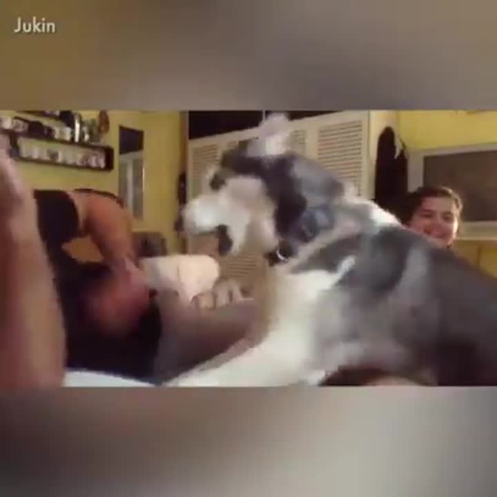 Бумс