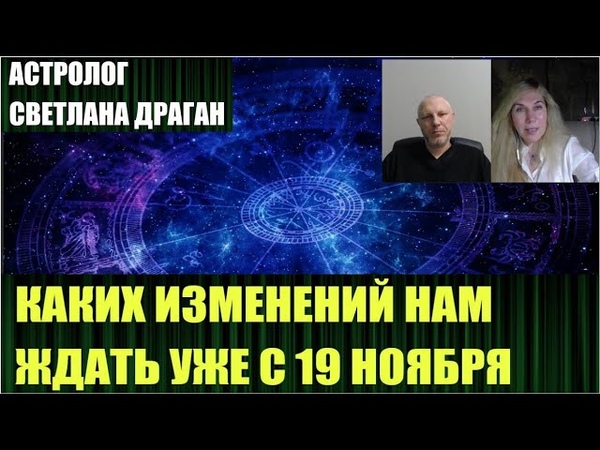 Кто нас выведет из леса?