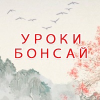 Уроки Бонсай