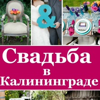 ✔ Свадьба в Калининграде. Главный информационный