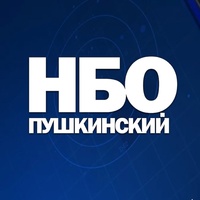 «Пушкинский: Новости большого округа»