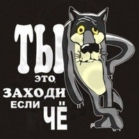 Порнозвезды в ВК