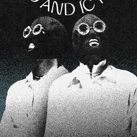 Twenty One Pilots
