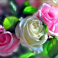 ஜ۩۞۩ஜ