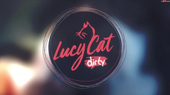 Lucy Cat Videos