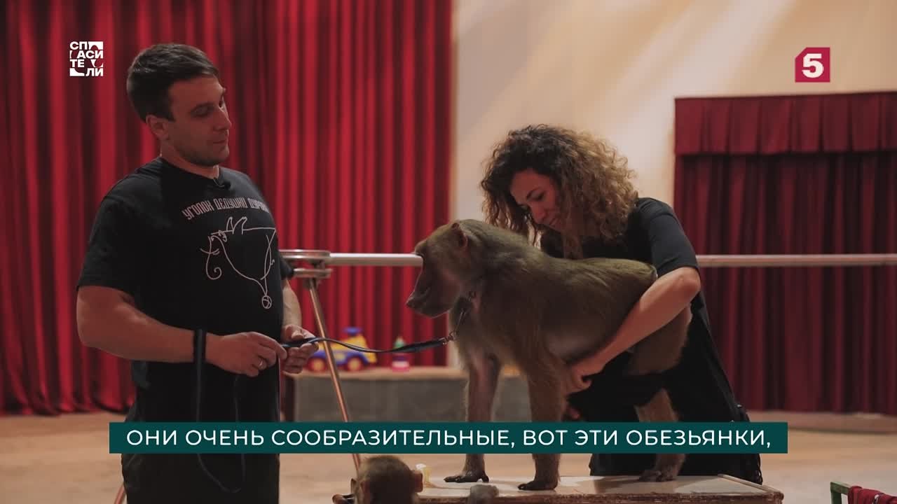 Гуманный метод трейлер