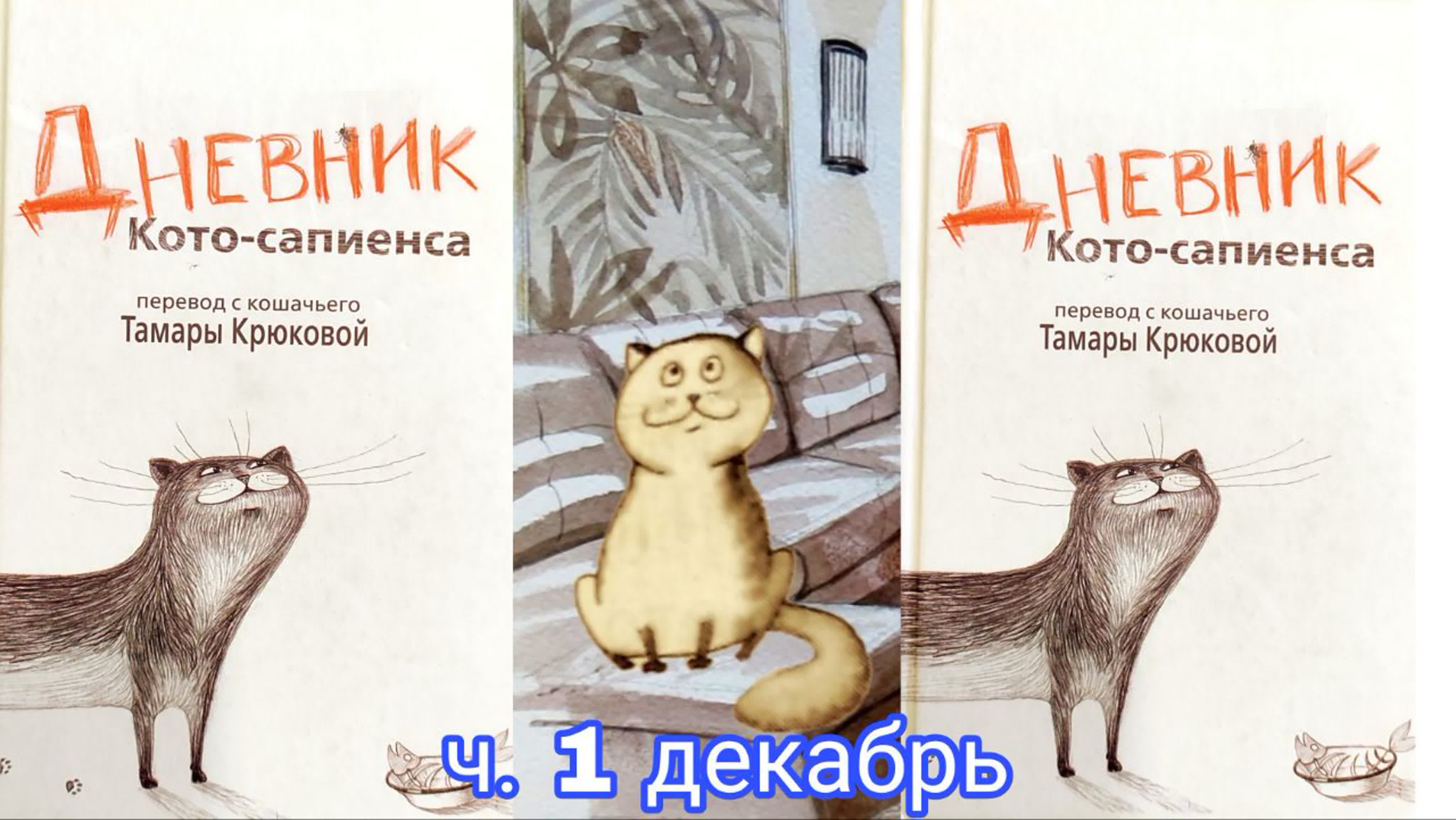Дневник Кота Плинтуса Купить Книгу
