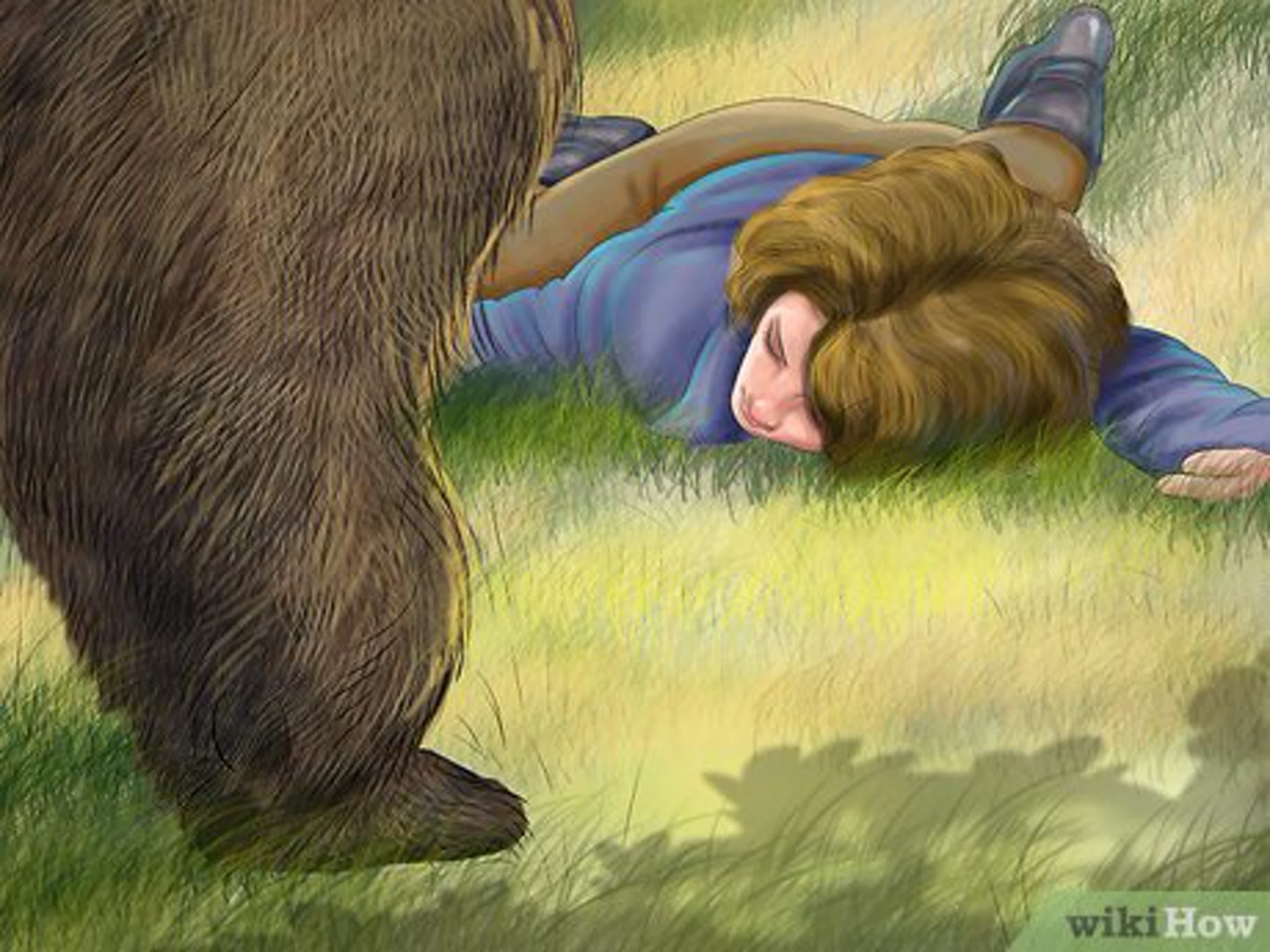 Медведь в лесу во сне. Медведь притвориться мертвым. Медведь рисунок. Два товарища иллюстрация. Медведь и два товарища.